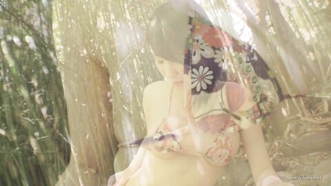 APRI-0079