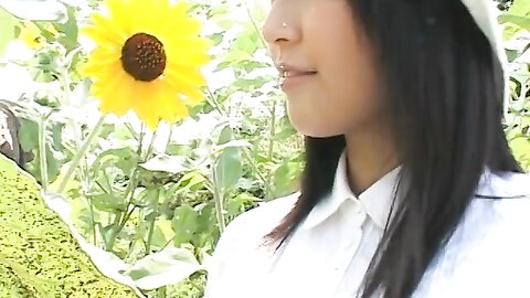 MSD-724