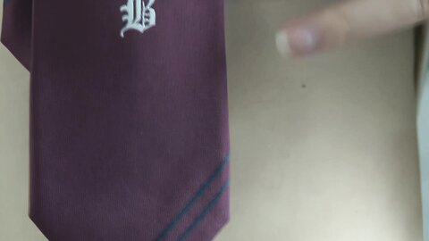 RM-8006 2.25x 1920x amq-12