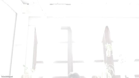 PM-031 Young Wife's Shame Omniverse vol. 9