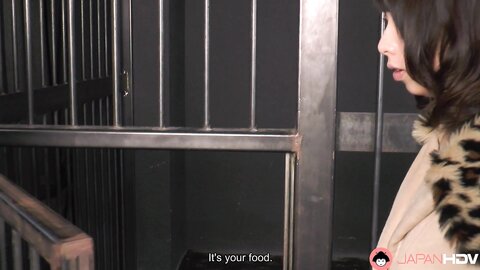 Amina Kiuchi Slave Wife Leashed And Creampied