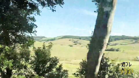 Tanaka Miku - Weekly Playboy Plus 240909