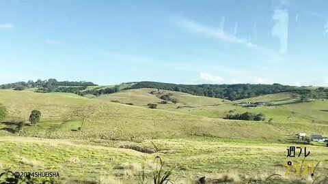 Tanaka Miku - Weekly Playboy Plus 240909