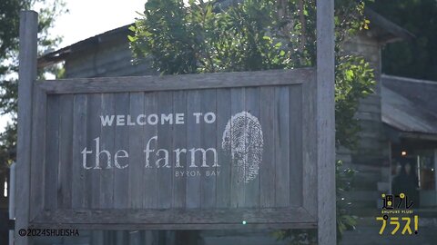 Tanaka Miku - Weekly Playboy Plus 240909