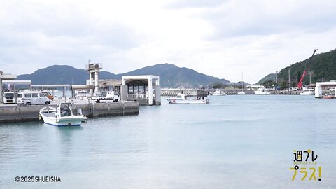 Tanaka Miku - Weekly Playboy Plus 250210