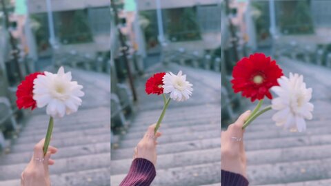 [Cosplay] ElyEE子 2025年11月Patreon订阅合集 [150P19V-867MB] (3)