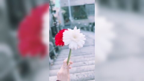 [Cosplay] ElyEE子 2025年11月Patreon订阅合集 [150P19V-867MB] (19)