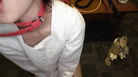 ACZD-246 Domestic Animal Bitch M Training, Lewd Married Woman, Breeding