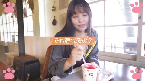 +付録DVD 2023年10月23日号No.42＆43 特別付録DVD Yuzuha Hongo 本郷柚巴