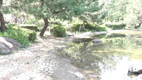 LOVEPOP Gravure No.50 – Usako Kurusu 来栖うさこ MOVIE 11