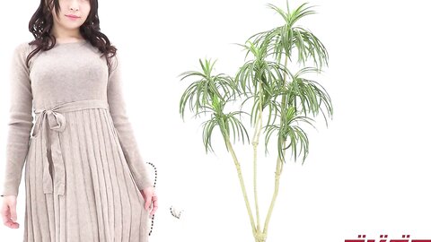 Digi-Gra Nonoka Satou 佐藤ののか MOVIES 01 - 05 2