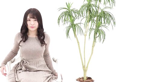 Digi-Gra Nonoka Satou 佐藤ののか MOVIES 01 - 05 2