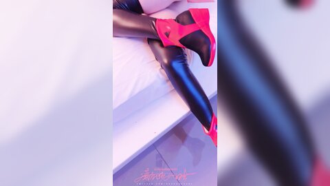 视频 (4)