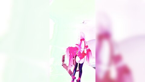 视频 (5)