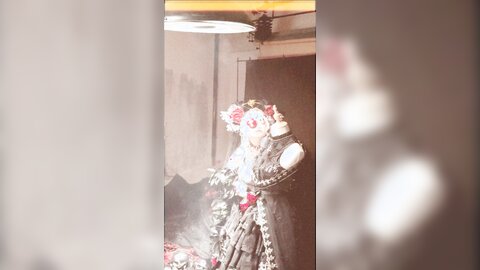 长花絮4k有水印