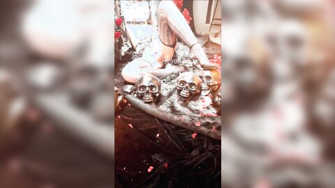 长花絮4k有水印