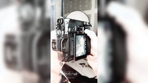 长花絮4k有水印