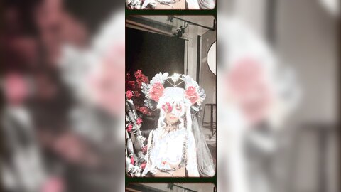 长花絮4k有水印