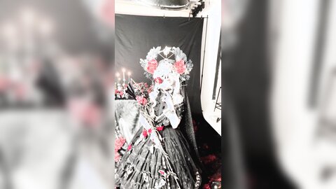 短花絮4k有水印