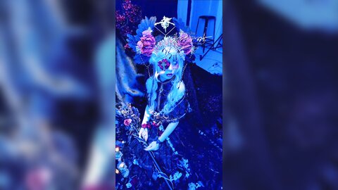 短花絮4k有水印