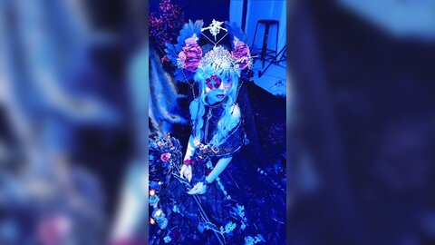 短花絮4k有水印