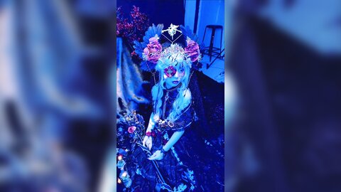 短花絮4k有水印