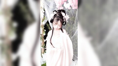 清平乐花絮长4k