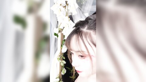清平乐花絮长4k