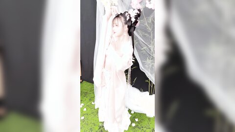 清平乐花絮长4k