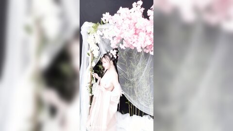 清平乐花絮长4k