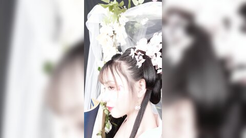 清平乐花絮长4k