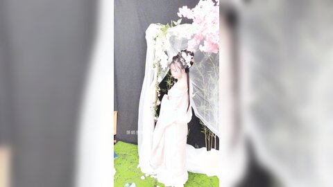 清平乐花絮长4k