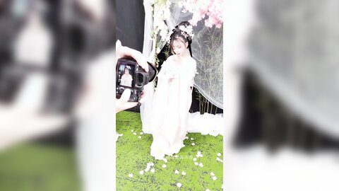 清平乐花絮长4k