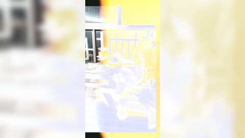 半糖主义长花絮4k