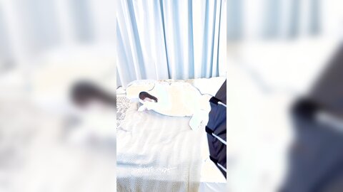 咸鱼搞笑视频02   4k有水印