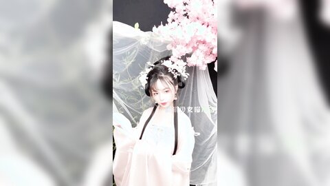 清平乐短花絮4k