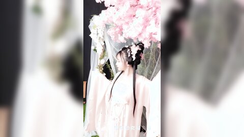 清平乐短花絮4k