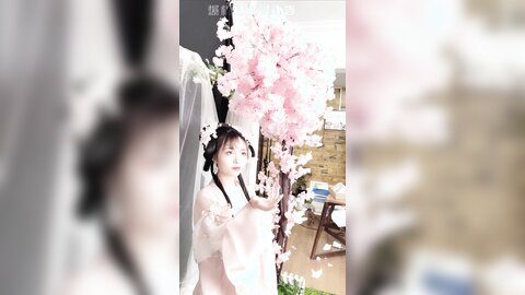 清平乐短花絮4k