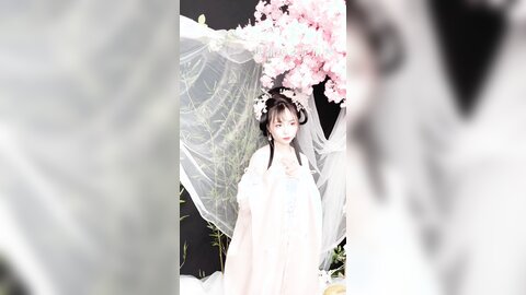 清平乐短花絮4k