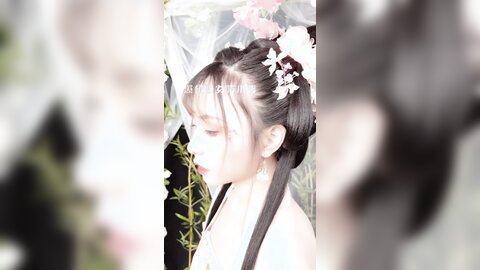 清平乐短花絮4k