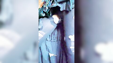 战斗女仆