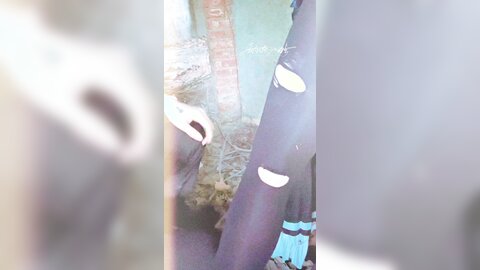 战斗女仆