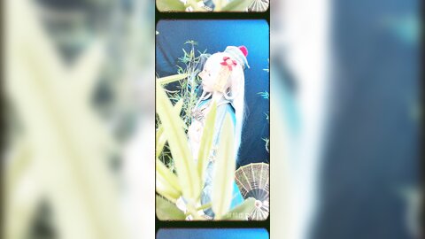 子不语短4k