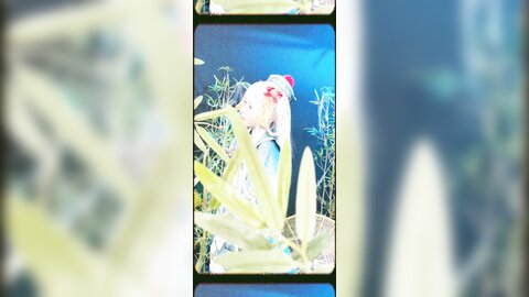 子不语短4k