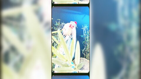 子不语短4k