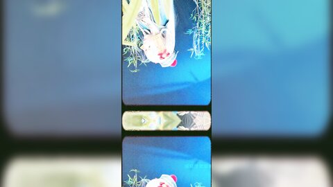子不语短4k