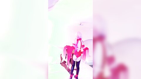 视频 (3)