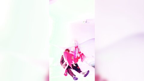 视频 (3)