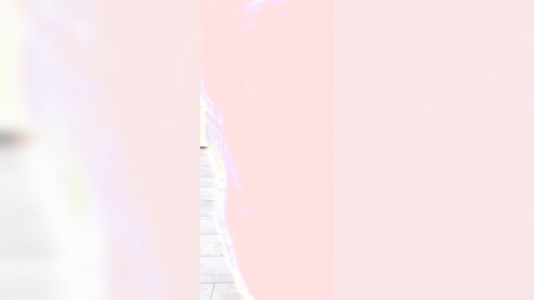半糖主义花絮短4k