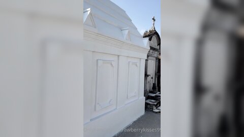 Strawberrykisses99 07 10 2022 2630205750 Did You See The News There Have Been Multiple Sightings Of A Vampire On The Loose In The